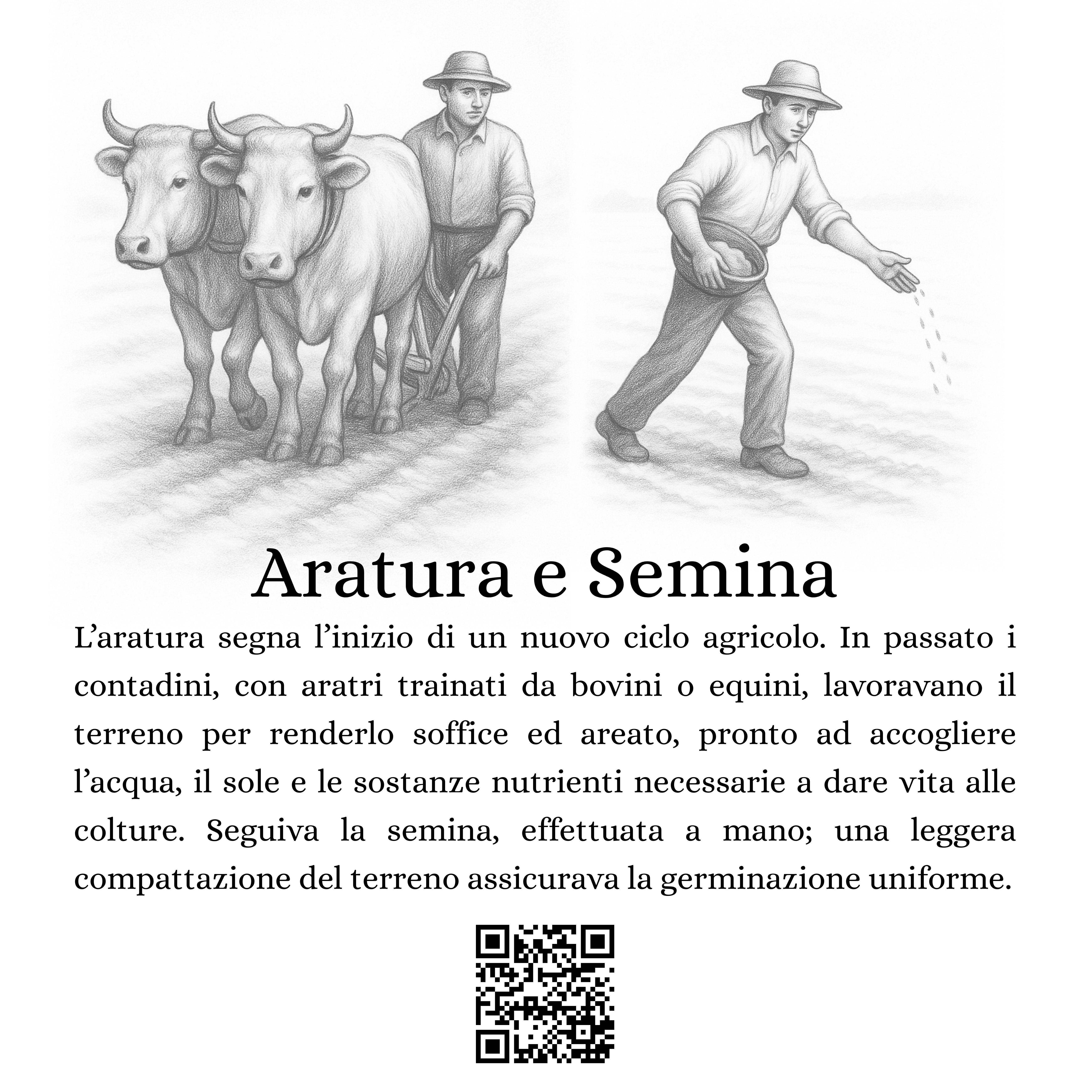 01-Aratura e Semina.jpg